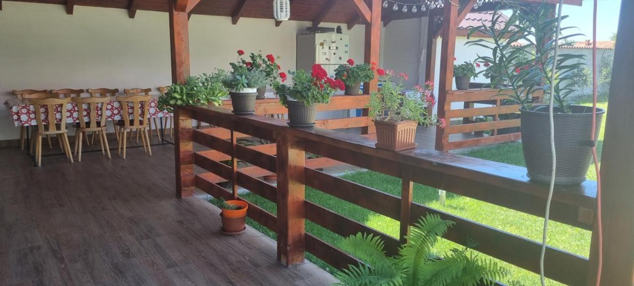 Pensiunea Casa Mădă Baia de Fier Exterior foto