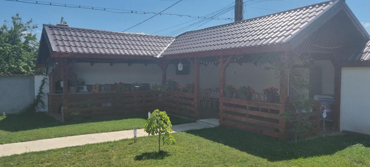 Pensiunea Casa Mădă Baia de Fier Exterior foto
